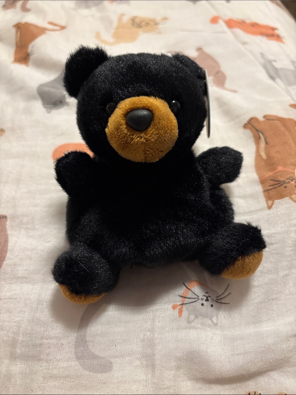 brand new palm pals bear